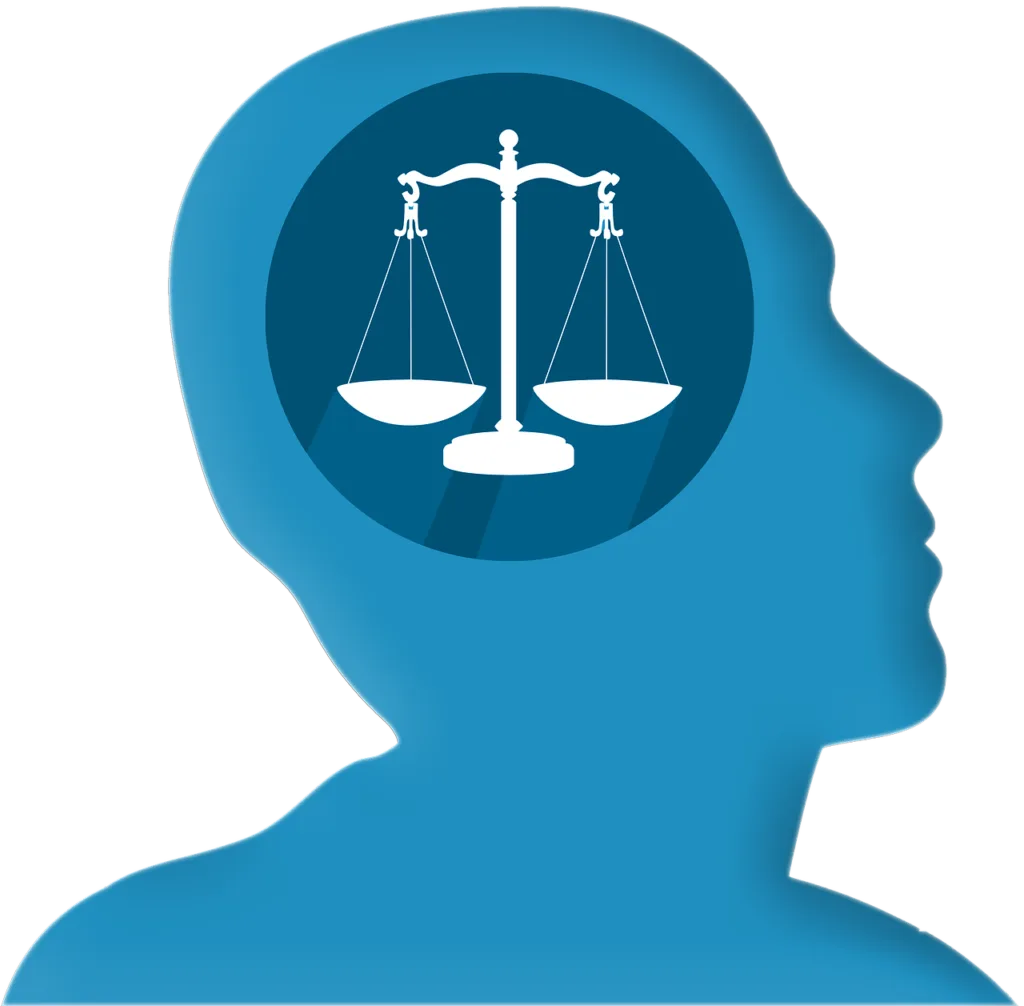 Psychologists in the criminal justice system